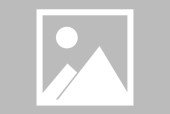 jiuyou入口-曼联主场大捷，球员赛后激动庆祝胜利，欢迎实现位置学校有些.
